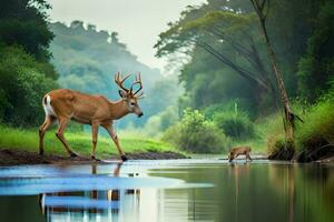 a deer and a baby deer are walking along a river. AI-Generated photo