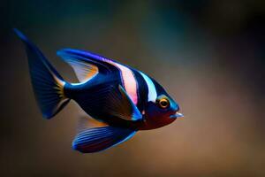 un azul y negro pescado con un blanco raya. generado por ai foto