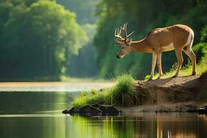 a deer stands on a rock by a river. AI-Generated photo