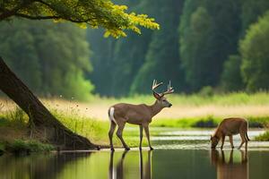 two deer standing in the water near a tree. AI-Generated photo