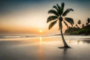 un solitario palma árbol soportes en el playa a puesta de sol. generado por ai foto