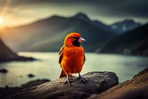 a red bird is standing on a rock in front of a lake. AI-Generated photo
