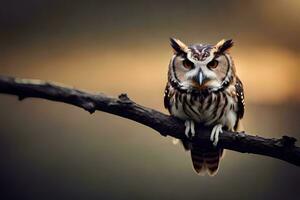 an owl is sitting on a branch. AI-Generated photo