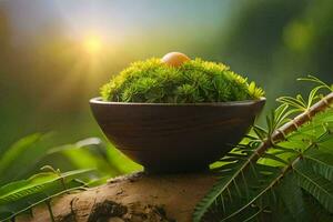 a small plant in a bowl with a sun in the background. AI-Generated photo