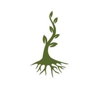 Logos of green Tree leaf ecology vector