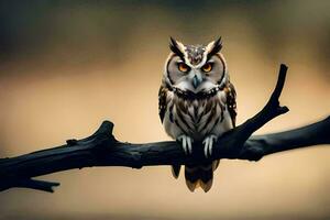 an owl is sitting on a branch. AI-Generated photo