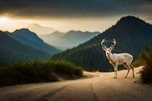 a white tailed deer stands on a dirt road in the mountains. AI-Generated photo