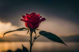 a single red rose is silhouetted against the sunset. AI-Generated photo