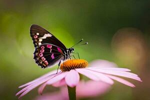 un mariposa es sentado en un rosado flor. generado por ai foto