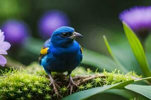 a blue bird with yellow and orange feathers sits on a branch. AI-Generated photo