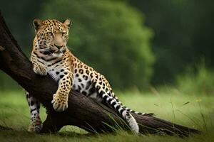 a leopard is sitting on a tree branch. AI-Generated photo