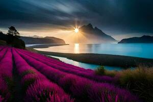 the sun sets over a lavender field. AI-Generated photo