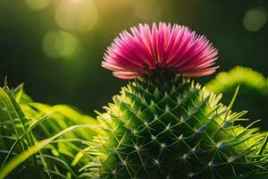 a thistle flower with bright pink petals. AI-Generated photo