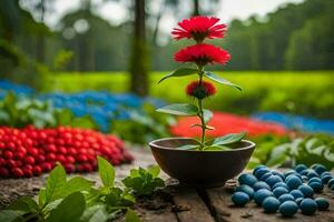 a red flower in a bowl with blueberries. AI-Generated photo