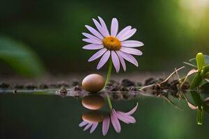 un flor y un huevo en el agua. generado por ai foto