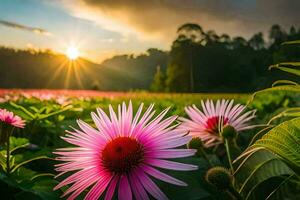 rosado flores en el campo a puesta de sol. generado por ai foto