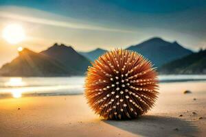 a sea urchin on the beach at sunset. AI-Generated photo