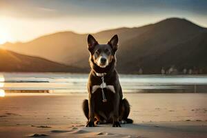 a dog sitting on the beach at sunset. AI-Generated photo