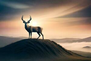 un ciervo soportes en parte superior de un colina a puesta de sol. generado por ai foto