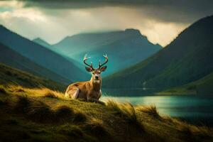 a deer sits on the grass in front of a lake. AI-Generated photo