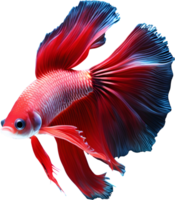 A painting of a Betta fish. AI-Generated. png