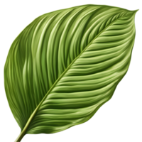 Beautiful leaf painting. AI-Generated. png