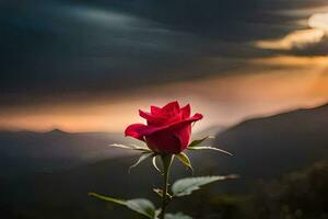 a red rose in the mountains. AI-Generated photo