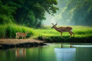 two deer standing next to a river in the forest. AI-Generated photo