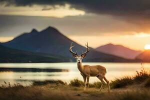 a deer stands in front of a lake at sunset. AI-Generated photo