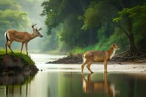 dos ciervo en pie en el banco de un río. generado por ai foto
