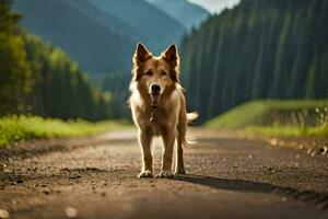 un perro en pie en un la carretera en el montañas. generado por ai foto