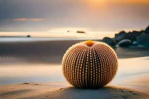 a cactus on the beach at sunset. AI-Generated photo