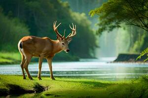 a deer stands in the grass near a river. AI-Generated photo