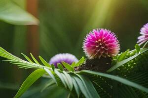 un cerca arriba de un púrpura flor en un planta. generado por ai foto