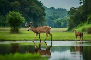 a deer and her fawn walk across a pond. AI-Generated photo