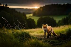 a fox stands in the grass at sunset. AI-Generated photo