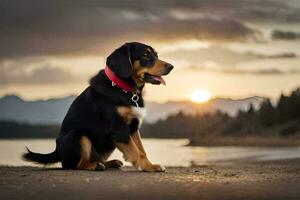 a dog sitting on the beach at sunset. AI-Generated photo