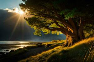 Glowing Tree by Sumoflam Photography