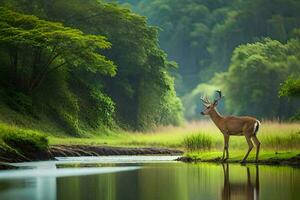 a deer stands in the middle of a river. AI-Generated photo