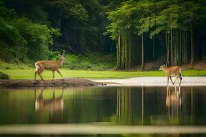 two deer standing in the water near a forest. AI-Generated photo