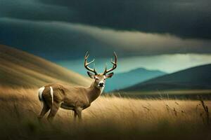 a deer stands in a field with storm clouds in the background. AI-Generated photo