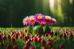 flowers in the grass, flowers, spring, flowers, flowers in the grass, flowers in. AI-Generated photo