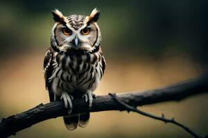 photo wallpaper owl, the owl, the owl, the owl, the owl, the owl,. AI-Generated