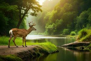 a deer stands on a path near a river. AI-Generated photo