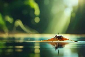 a bug sitting on a leaf in the water. AI-Generated photo