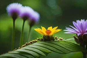 foto fondo de pantalla el cielo, flores, el sol, el flores, el flores, el flores. generado por ai