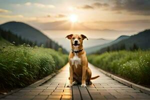 a dog sitting on a wooden walkway in front of a mountain. AI-Generated photo