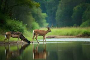 two deer drinking water from a river. AI-Generated photo