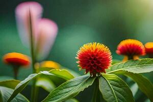 a close up of some flowers with green leaves. AI-Generated photo