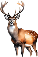 Watercolor painting of a deer. AI-Generated. png